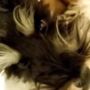 Meet your Posher, Tomiko